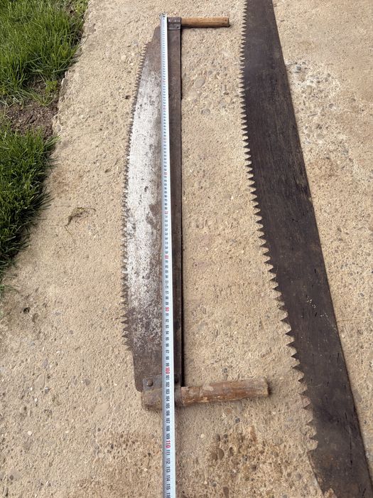 Se vinde JOAGĂR de 1,5 m