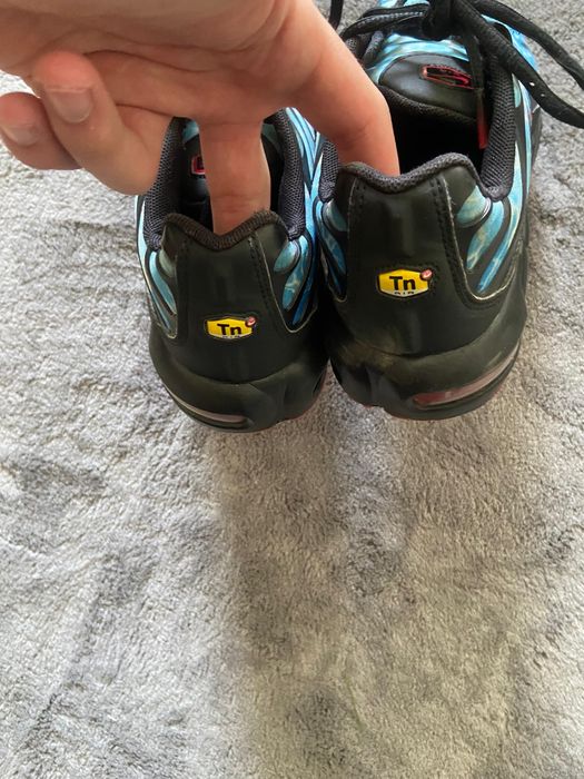 Nike Tn shark attack