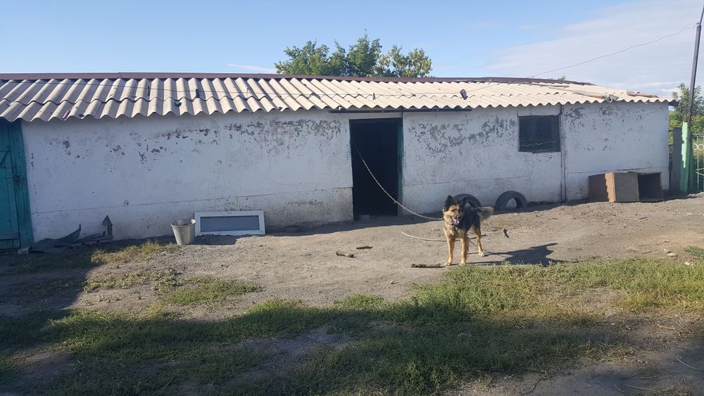 Продам частный дом