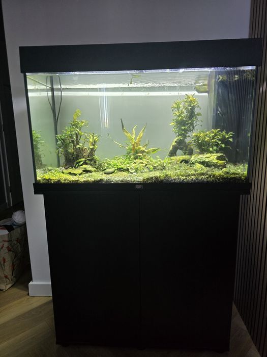 Vand acvariu 125 l Juwel si suport negru