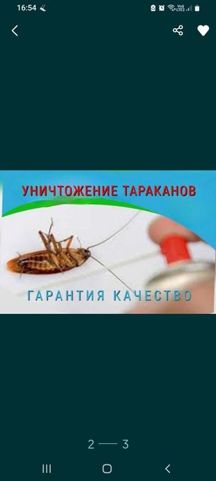 Обработка от клопов, тараканов