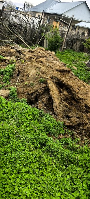 Навоз для огорода