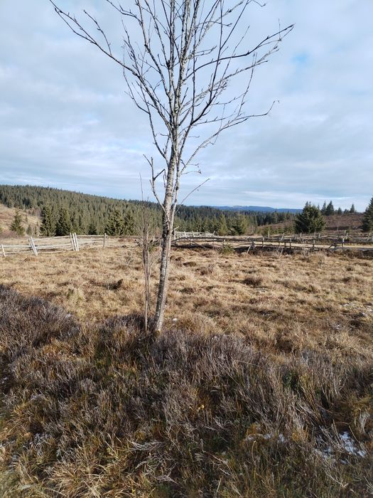 Vând teren intravilan comuna Beliș sat Balcesti judetul Cluj