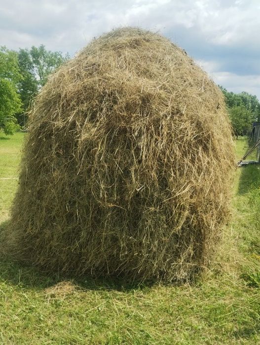 De vânzare paie pentru animale
