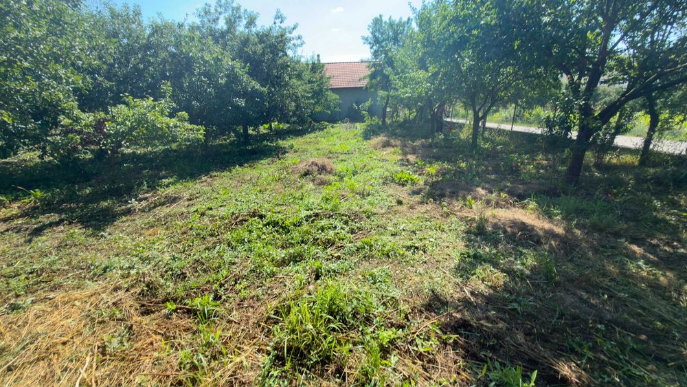 Vand casa cu teren