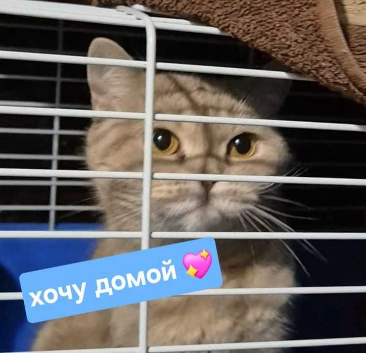 По дороге к счастью - девочка Груня