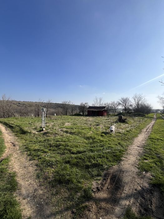 Teren intravilan 2500mp, zona excelenta