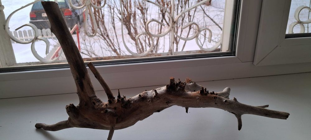 Коряга в аквариум