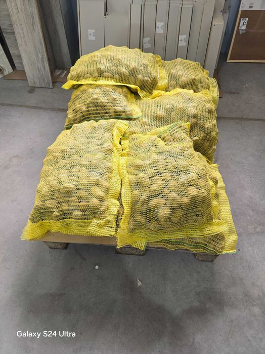 Семе картоф сорая