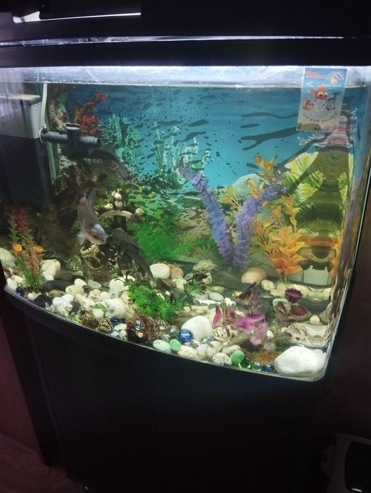Продам аквариум с рыбками