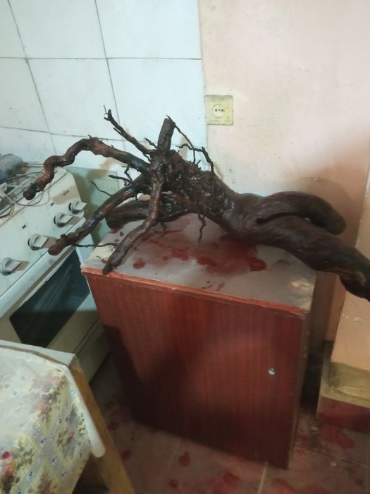 Продаётся коряга