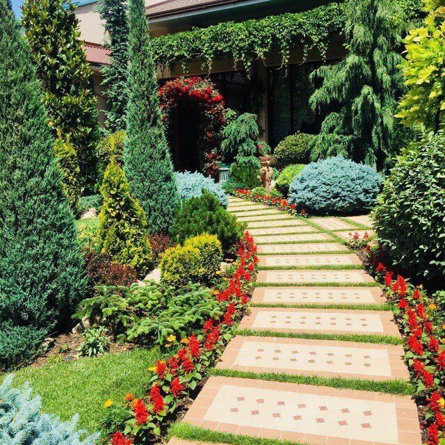 Landshaftniy dizayn (hammasi o’zimizzi ishla internetdan olinmagan)