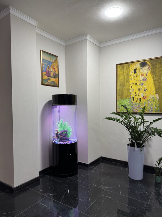 Professionall akvarium tozalash xizmati - Чистка аквариумов