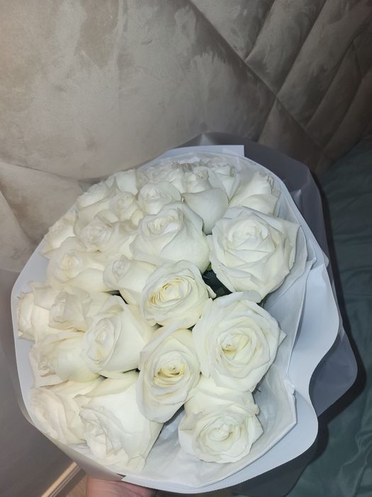 Продам цветы состояние очень хорошее