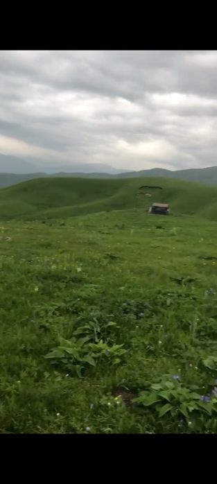 Продается земля .Жайляу 250га