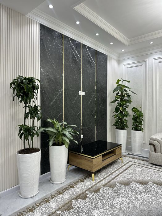 Растения для офисов и ресторанов от поставщиков