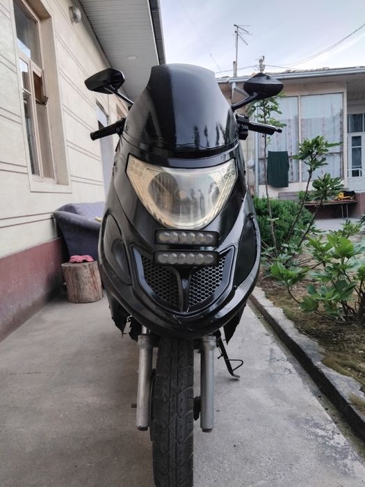 IRBIS Sukutir sirochna sotiladi 150kub