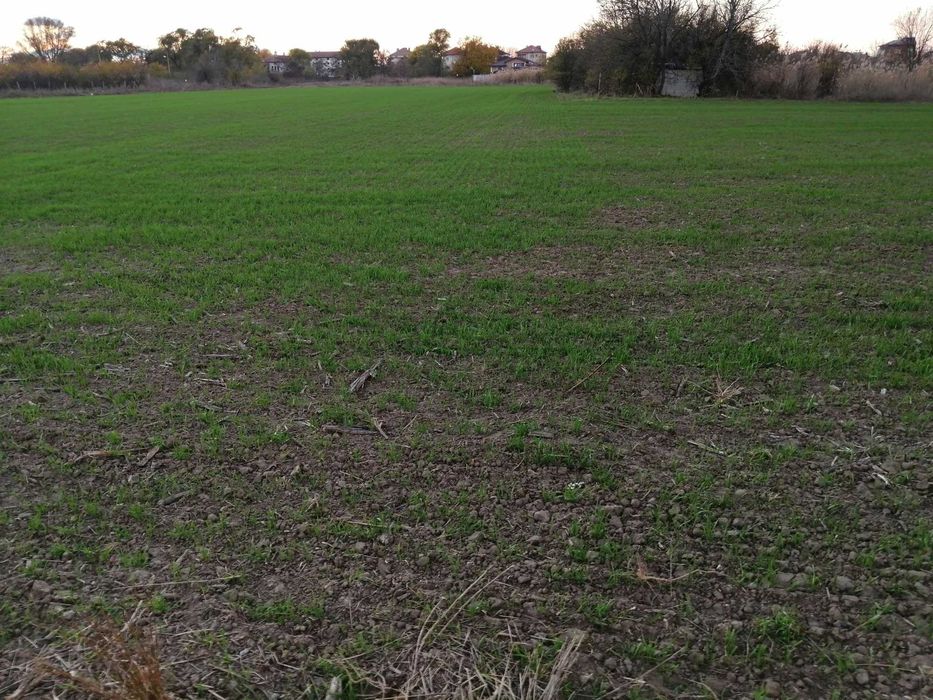 Продава се Парцел в Пловдив, Прослав - 1450 кв.м за 41 €/кв.м - Снимка #1