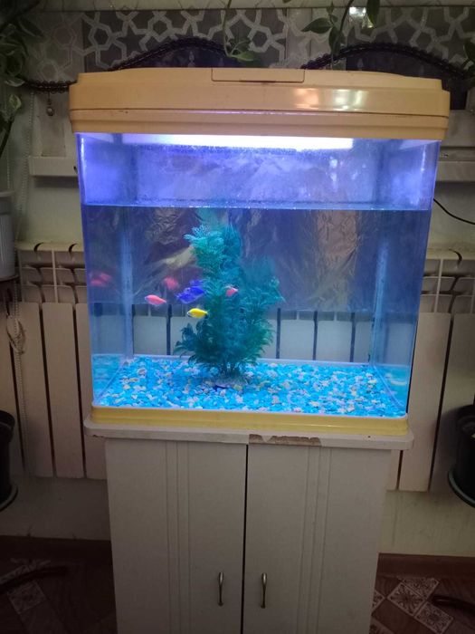 Аквариум с рыбками - 60 литр