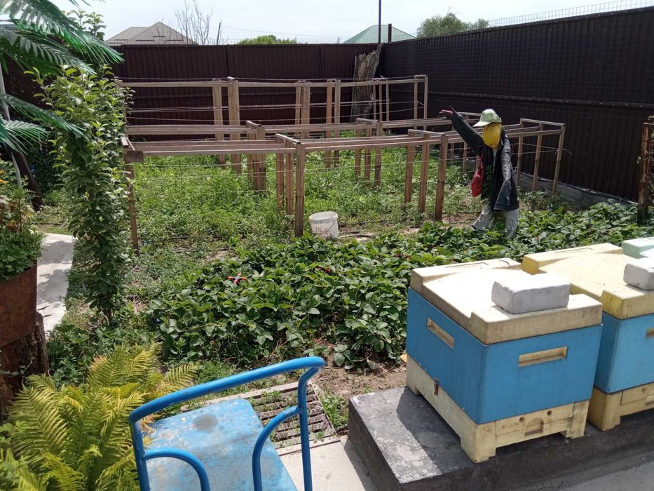 Дом в Ынтымаке с бассейном