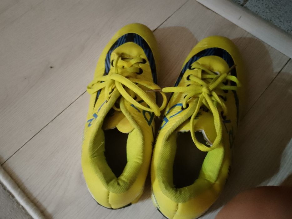 Прадам сараканожки