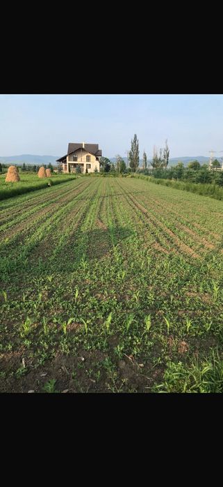 Teren intravilan, 1250 mp intabulat, loc. Braiesti, str. Principala