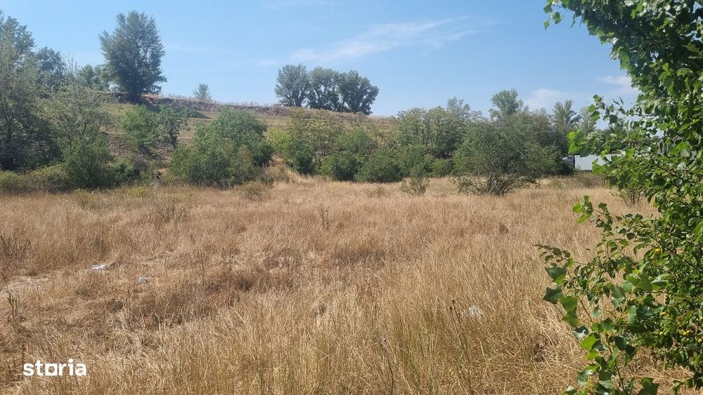 Teren intravilan cu destinație industrială de vânzare – zona Borș