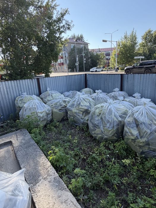 Отдам бесплатно минвату