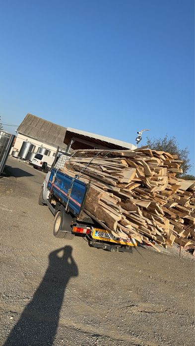 Vand lemn de Foc : Fag , Brad