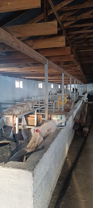 Откорм база Астана