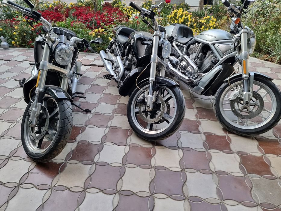 Harley-davidson night rod
