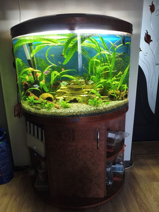 Продам Аквариум заводской!
