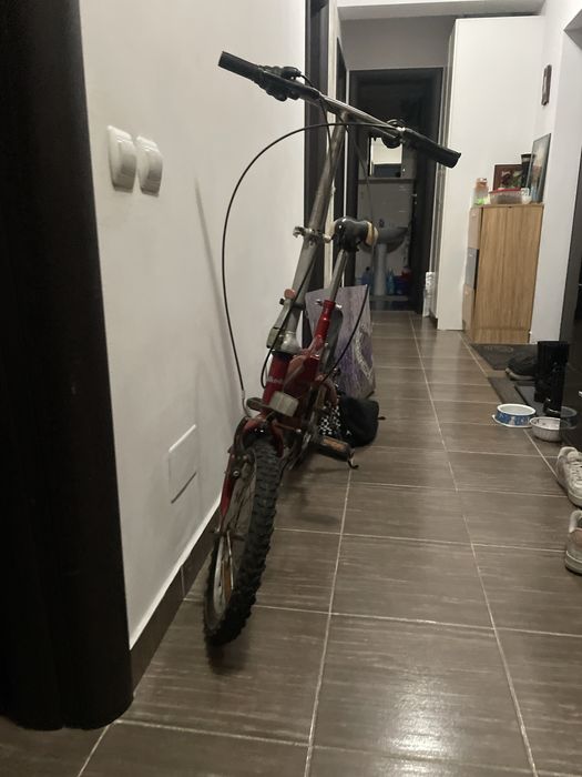 Bicicleta pegas universala