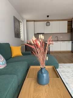 Ofer spre inchiriere apartament str. Carpatilor (cartier Urban)