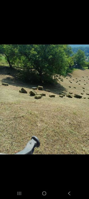 Baloți de Fân 2025