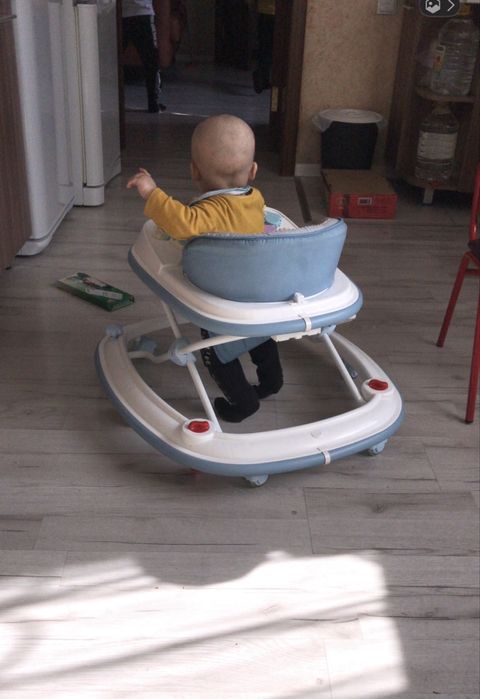 Ходунок корейский