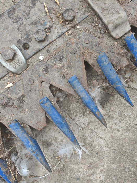 Vând cositoare bcs diesel