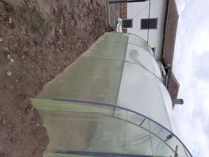 Оранжерии/Парници