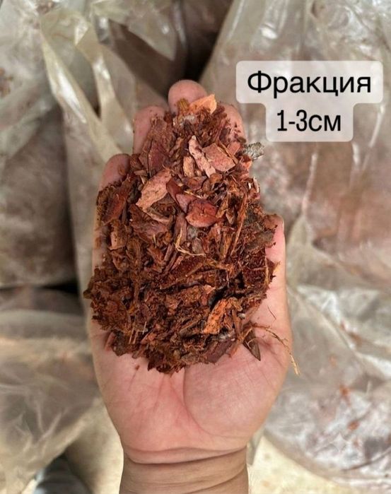 Кора лиственницы сибирской