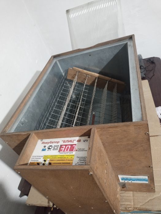 Продам Инкубатор и цыплят