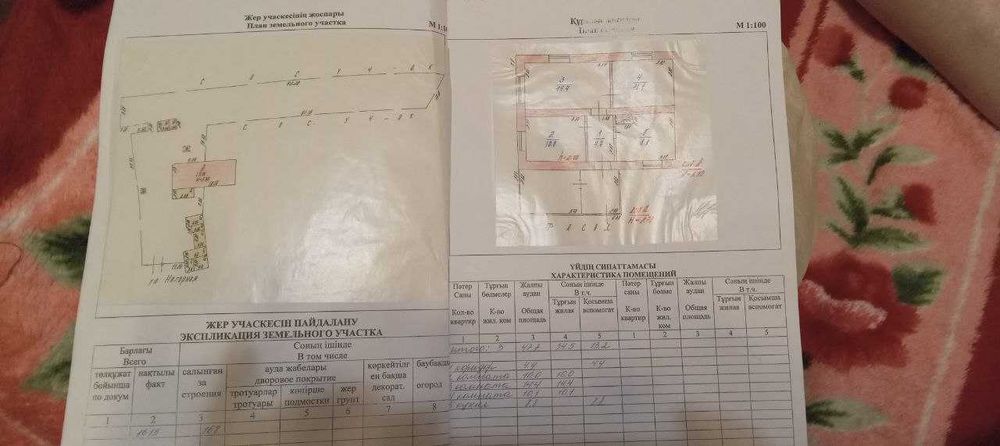 Продам дом с. Быструха