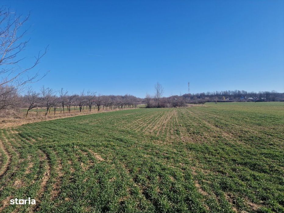 Teren intravilan comuna Sapata, Arges!