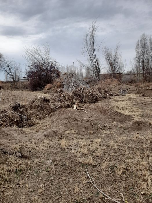 Утин сотилади(терак)