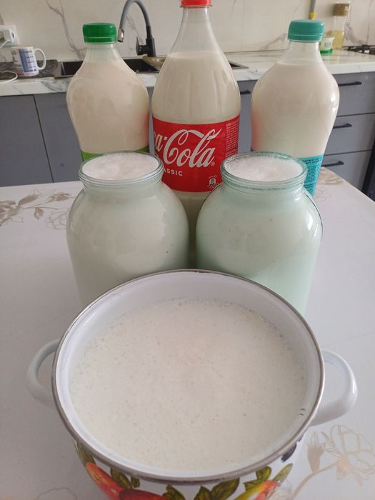 Козье молоко, ешкі сүті сатылады