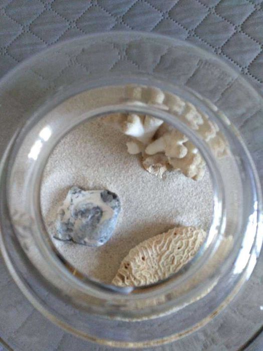 Аквариум - 3л. -