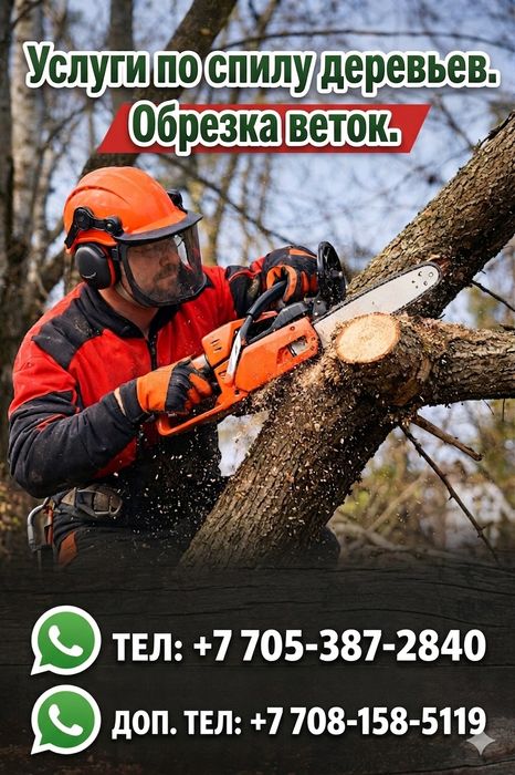 Спил и обрезка деревьев
