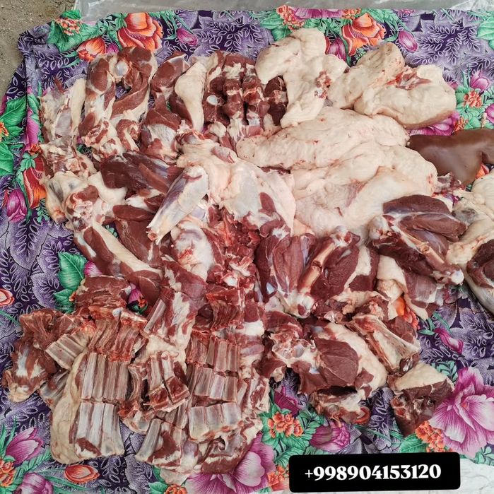 Qassob servis  Siz izlagan Tam va sifat uygʻunligi