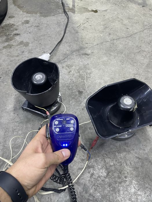 Элина смерч  сотилади