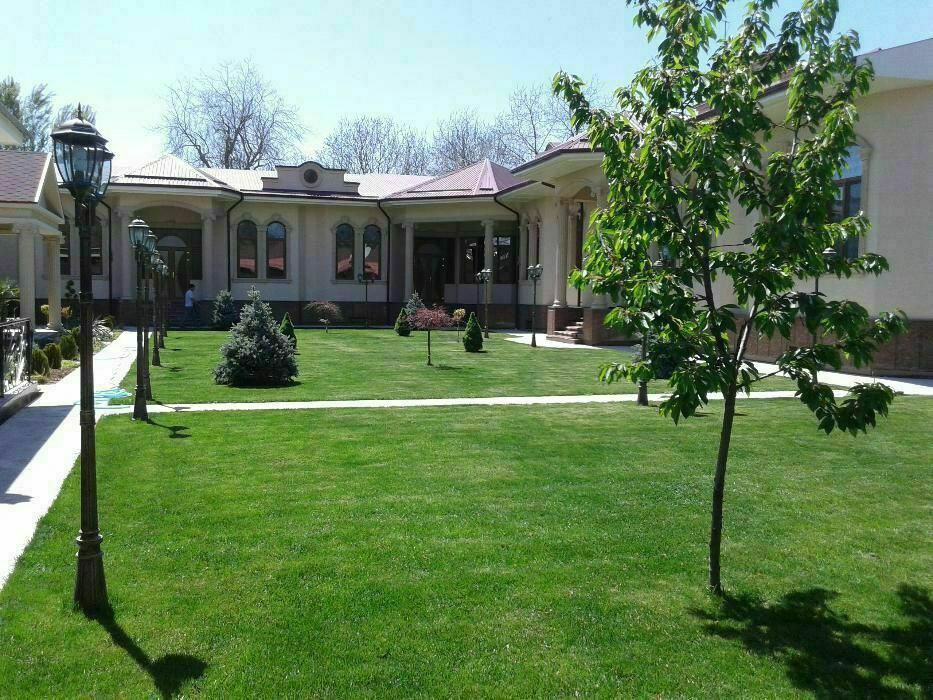 Тайрё Газон ёткизиш