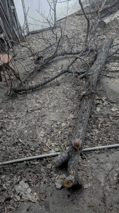 Деревянные оконные рамы со стеклами и просто стекла